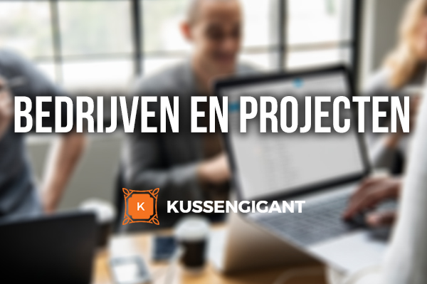 Bedrijven & Projecten