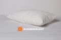 Binnenkussen Hollow fill 80x50