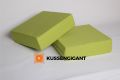 2 65x60x8 Outdoorstof Groen kussens