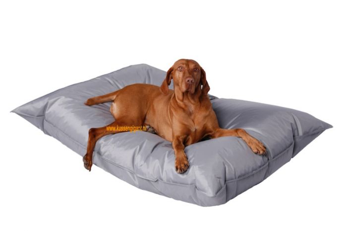 Aanzetten Voorzien Lach Lazy Dogbag grijs met binnenkussen