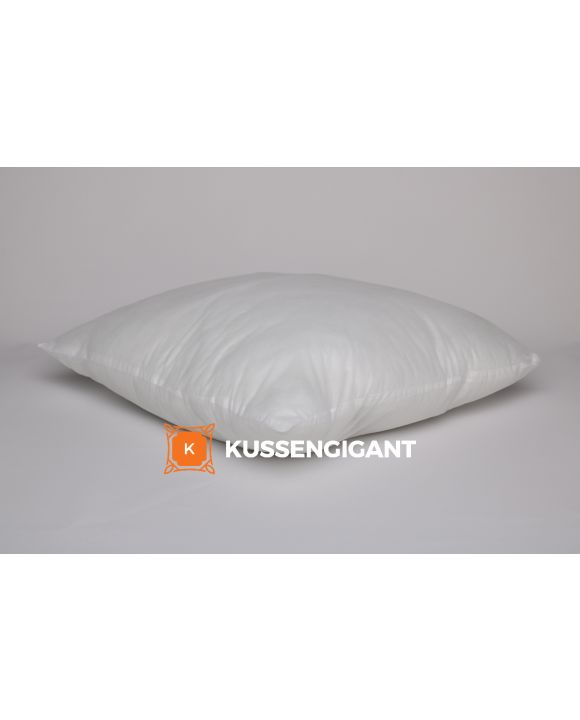 Binnenkussen hollowfill 60x60