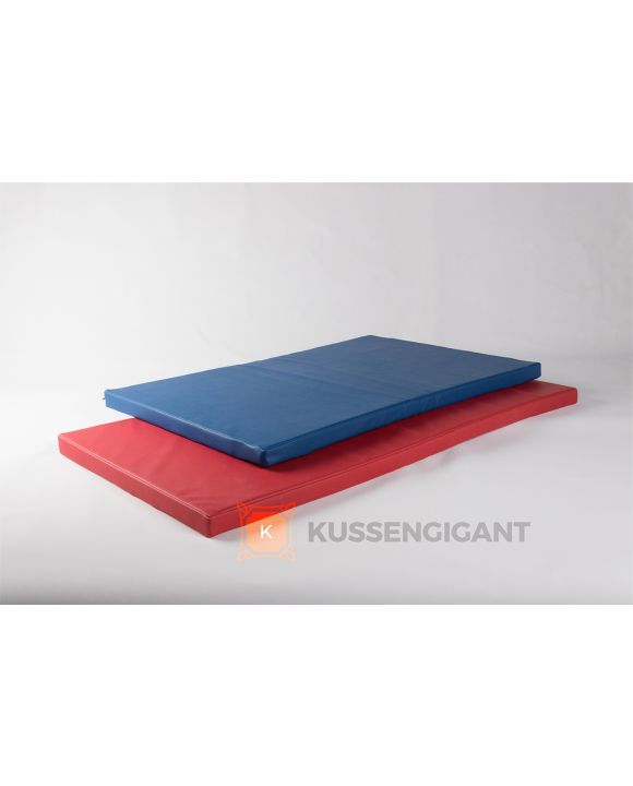 148x75x5 & 120x80x5 Kussens kunstleer blauw en rood